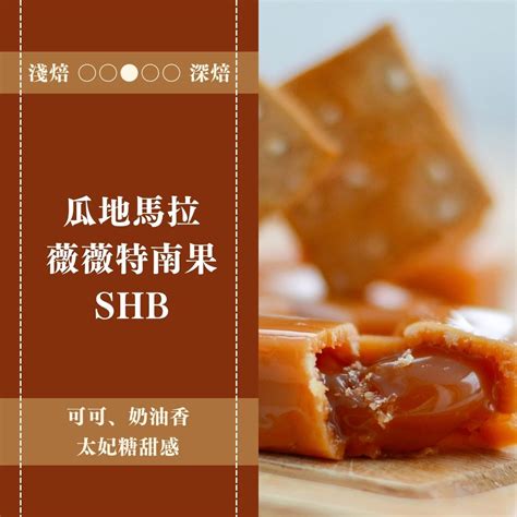 水洗是什麼|咖啡豆處理法全解析：一次搞懂水洗、日曬、蜜處理等6種常見咖。